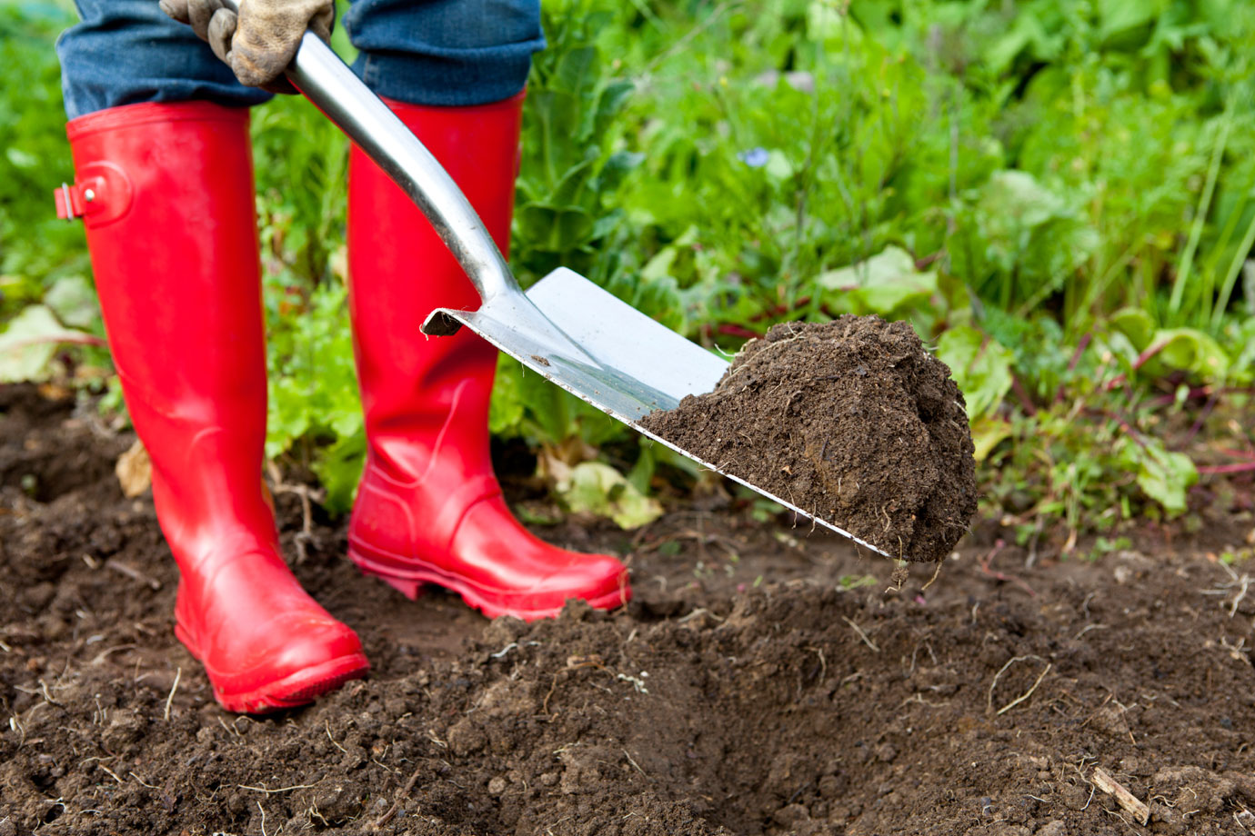 Fotografie für Gartenzauber