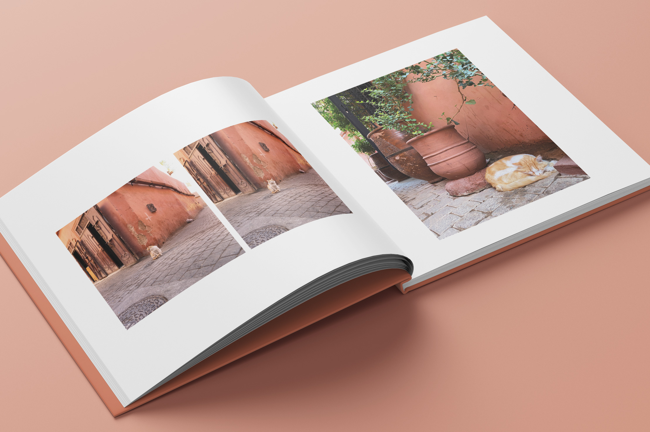 Marrakesch Miezen Bildband by Buero Maiwald