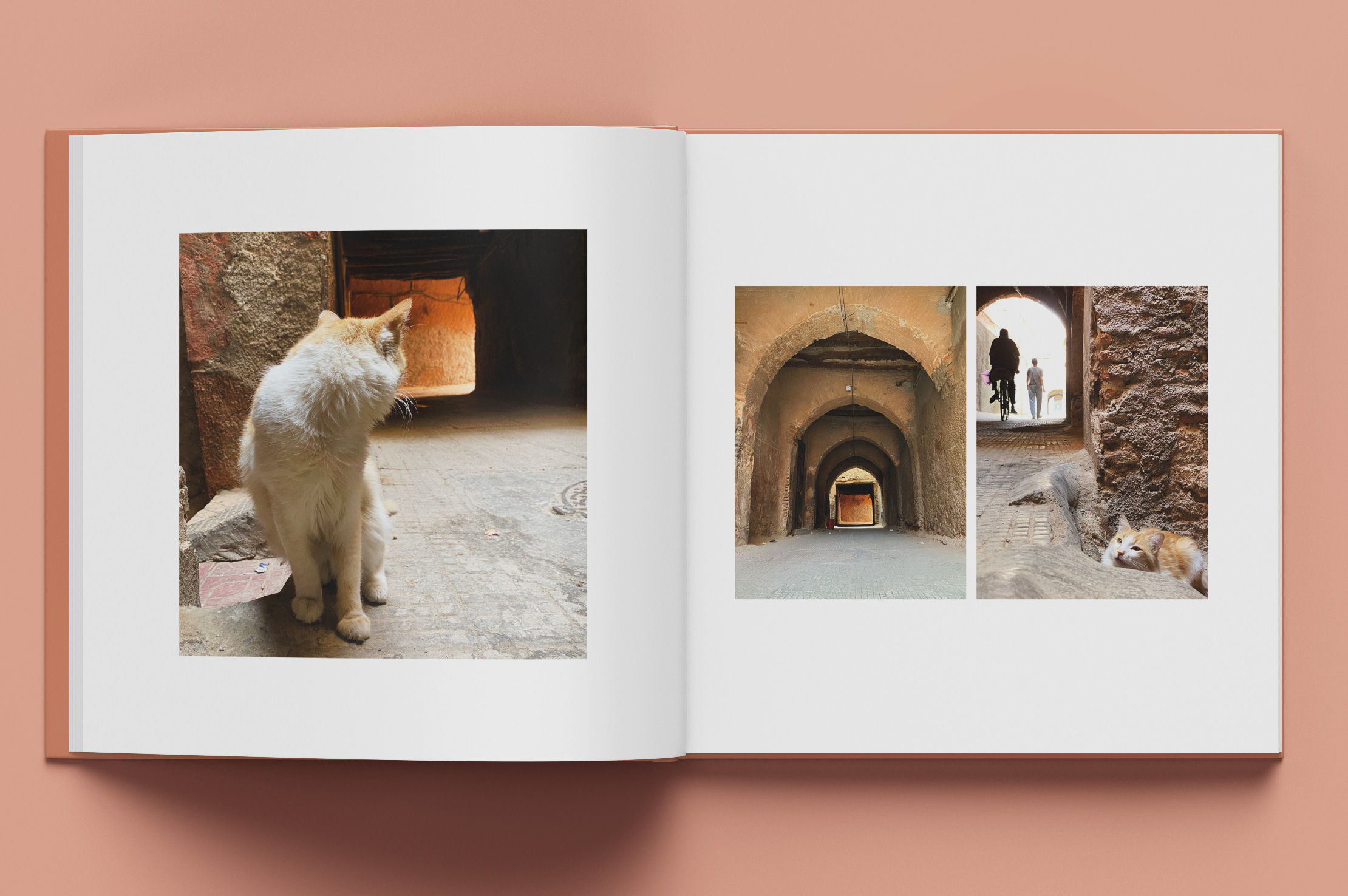 Marrakesch Miezen Bildband by Buero Maiwald