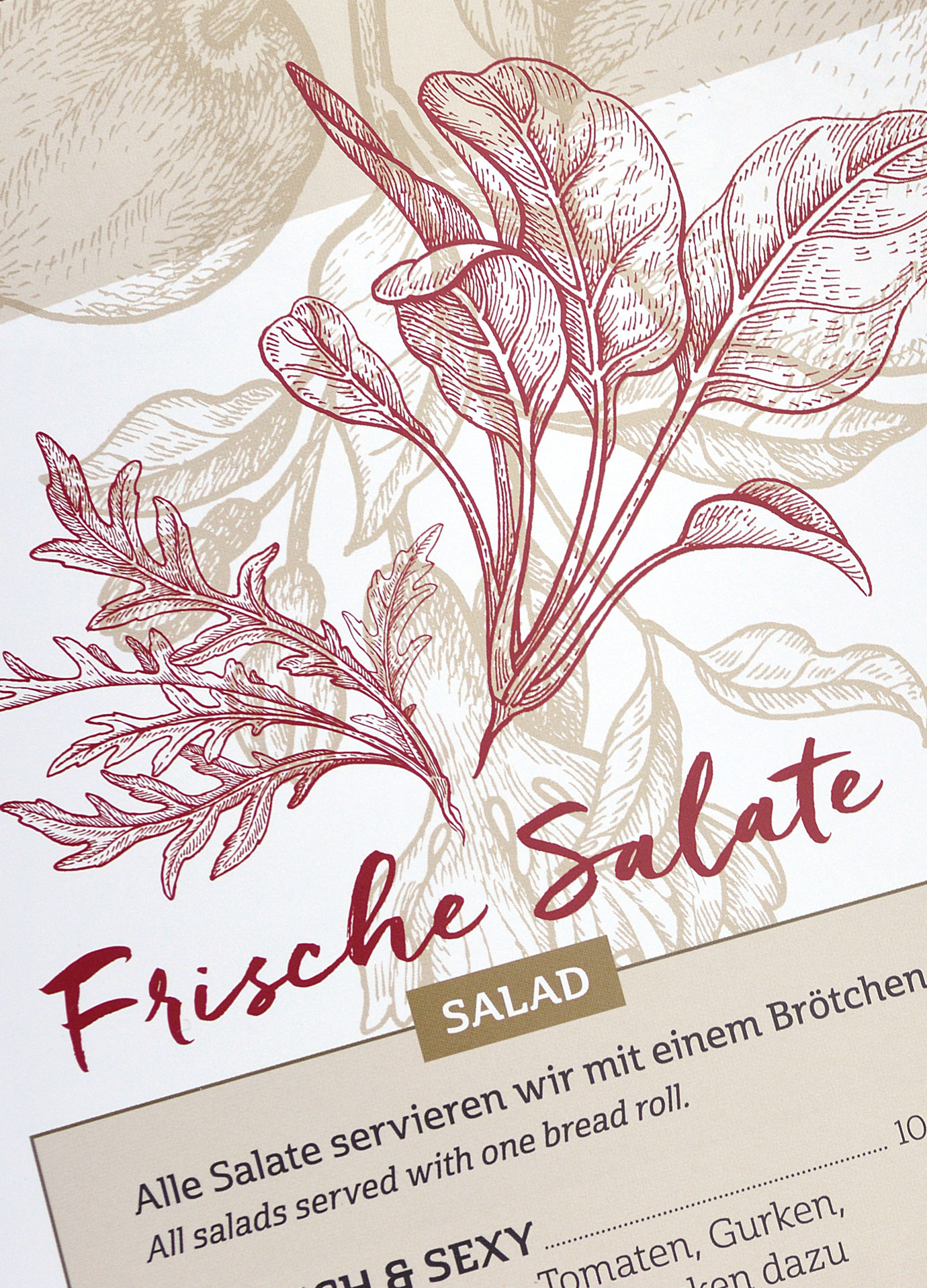 Illustration der Speisekarte mit feinen Zeichnungen von Gemüse Illustration der Speisekarte mit feinen Zeichnungen von Gemüse