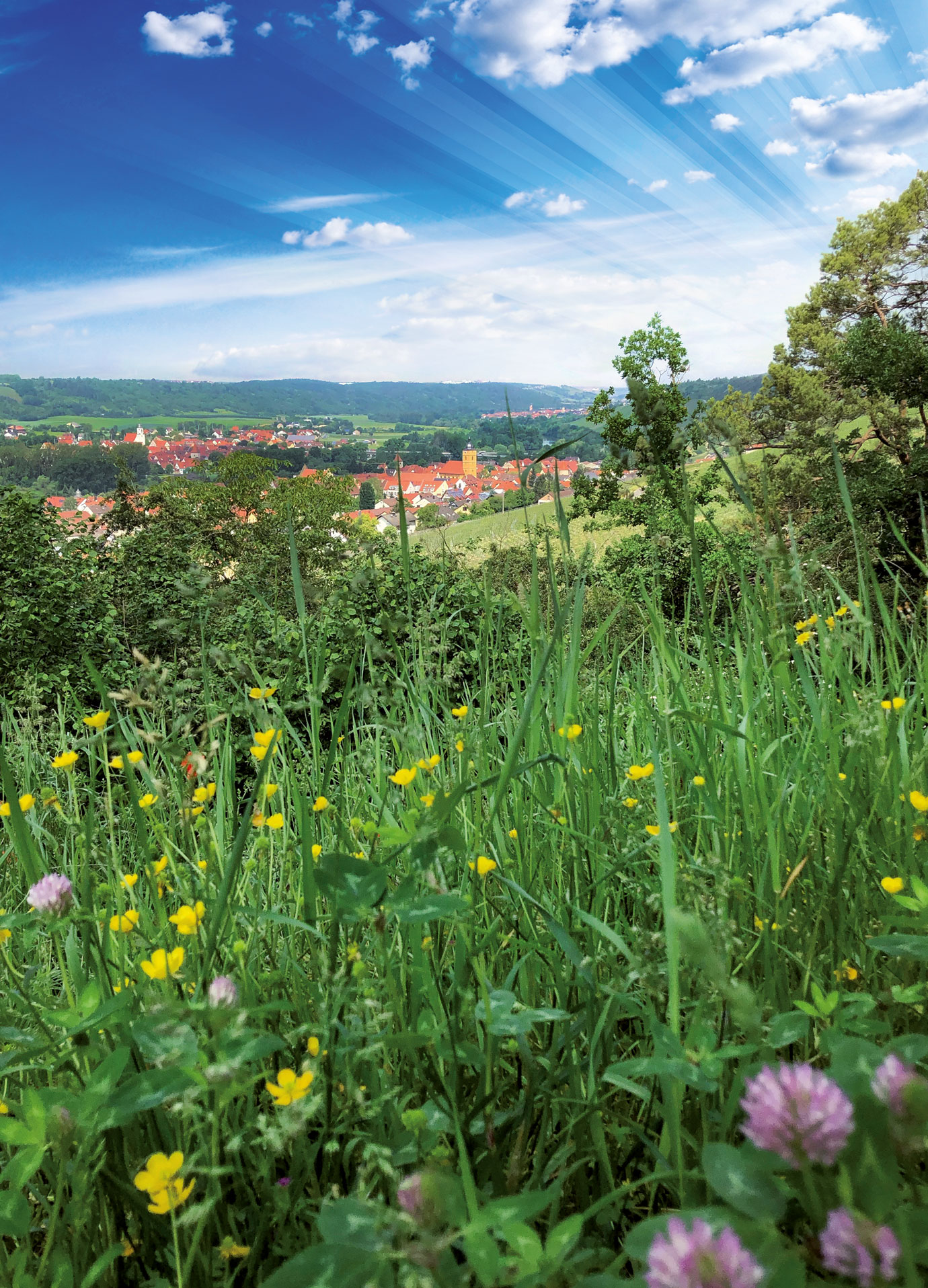 Fotografie Sommerhausen am Main