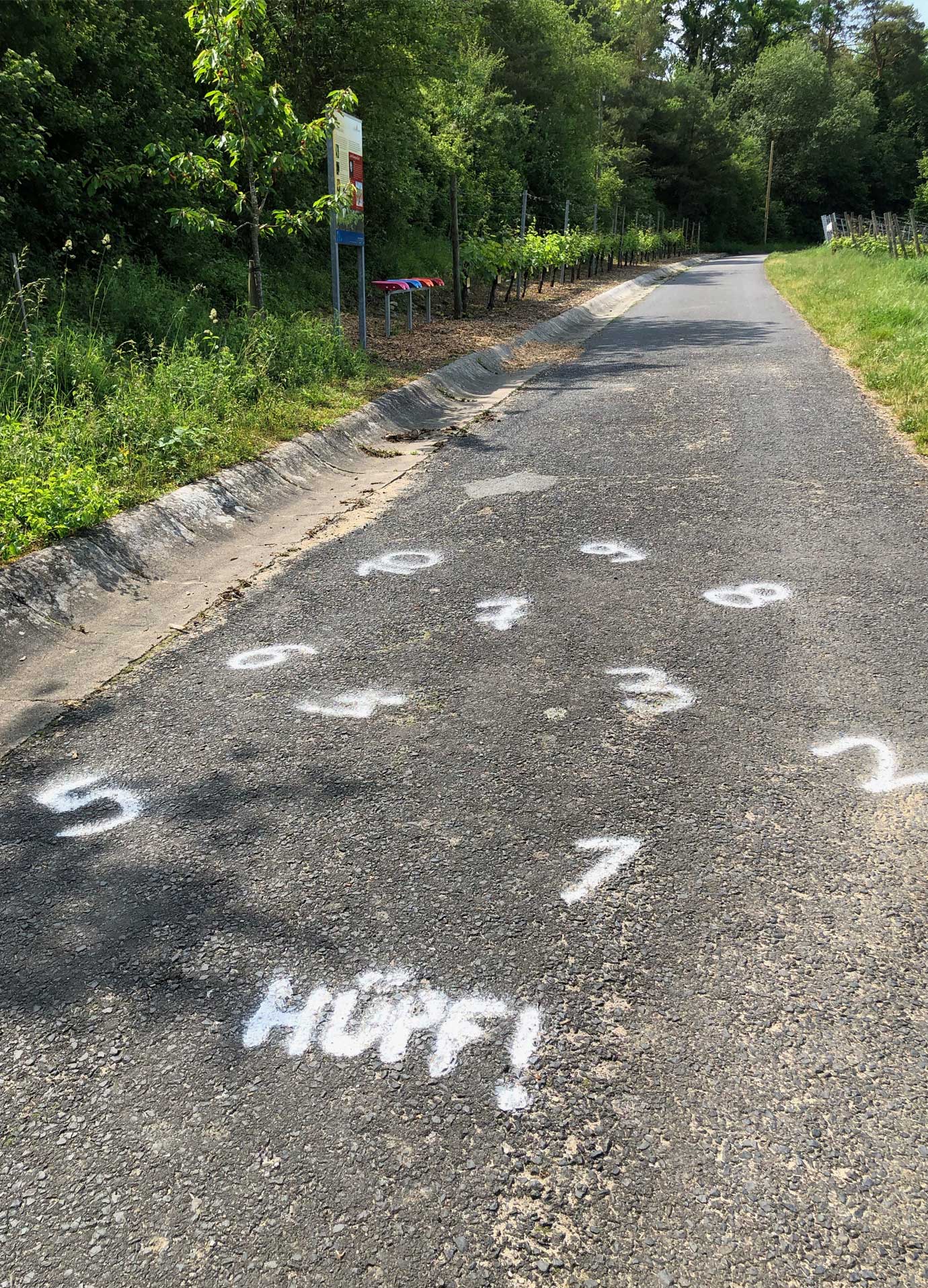 Hüpfspiel auf dem Willis Schneckenweg in Sommerhausen